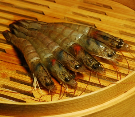 台灣白蝦～鮮甜～無毒～產地直銷